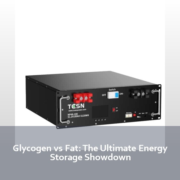 Glycogen vs Fat: The Ultimate Energy Storage Showdown